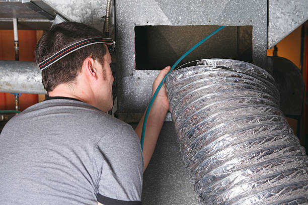 Best Air Duct Mold Removal  in Eulyptus Hills, CA