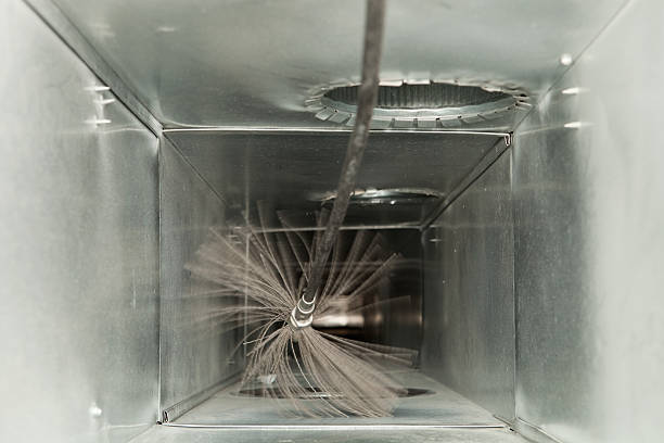 Best Air Duct Cleaning Company Near Me  in Eulyptus Hills, CA