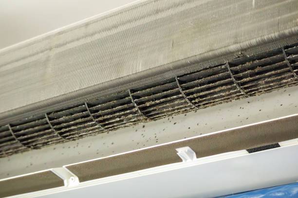 Best Air Duct Cleaning Near Me  in Eulyptus Hills, CA